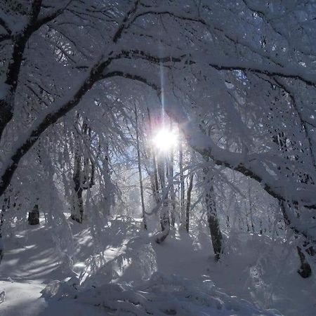 Stara Planina Vila Vesela Kuca Jalovik Izvor Екстериор снимка