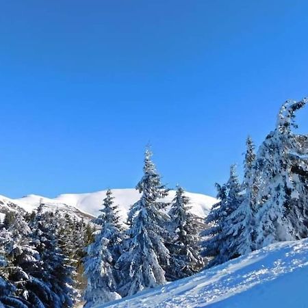 Stara Planina Vila Vesela Kuca Jalovik Izvor Екстериор снимка