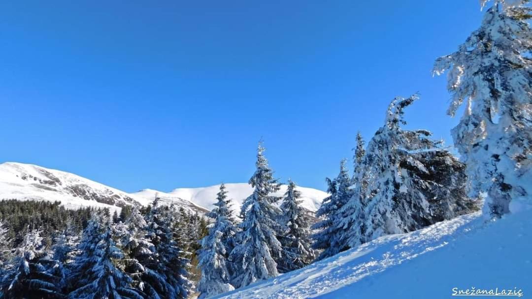 Stara Planina Vila Vesela Kuca Jalovik Izvor Екстериор снимка