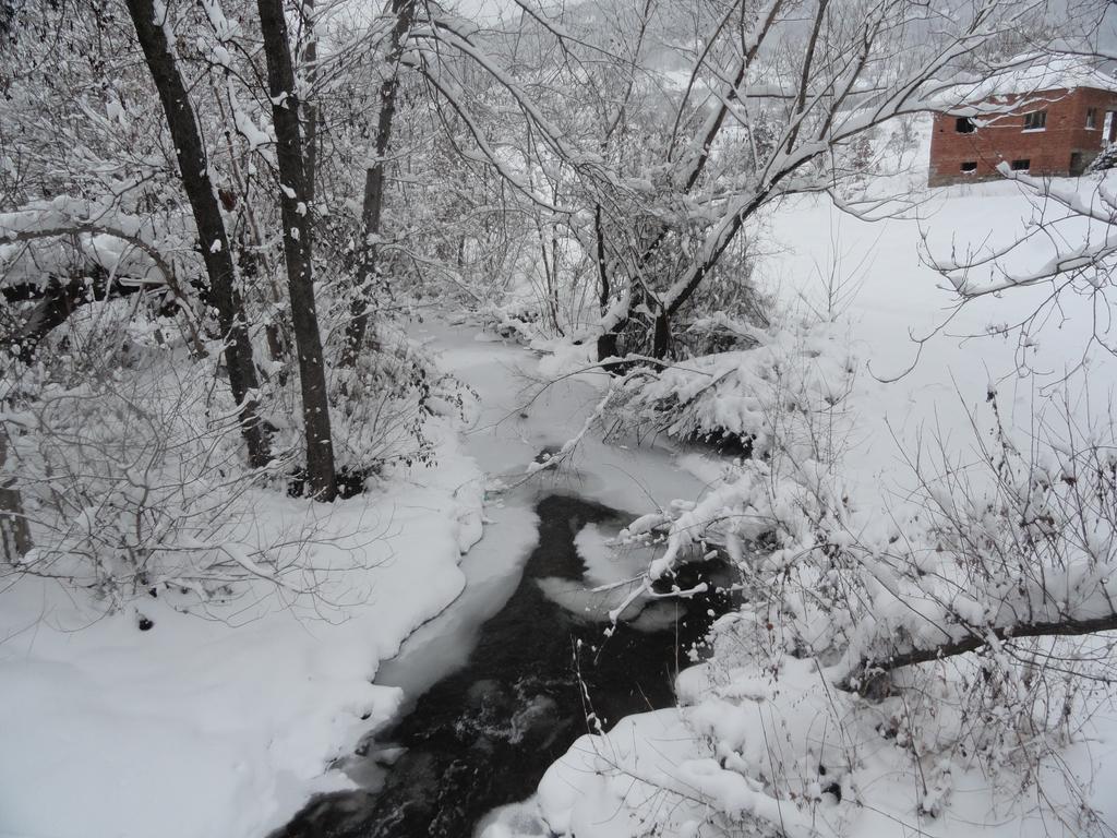 Stara Planina Vila Vesela Kuca Jalovik Izvor Екстериор снимка